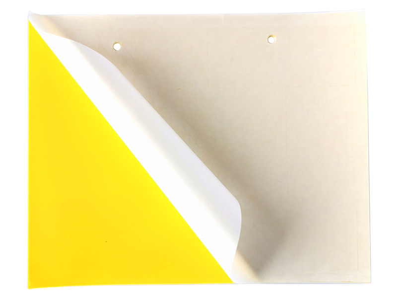 全降解誘蟲(chóng)板