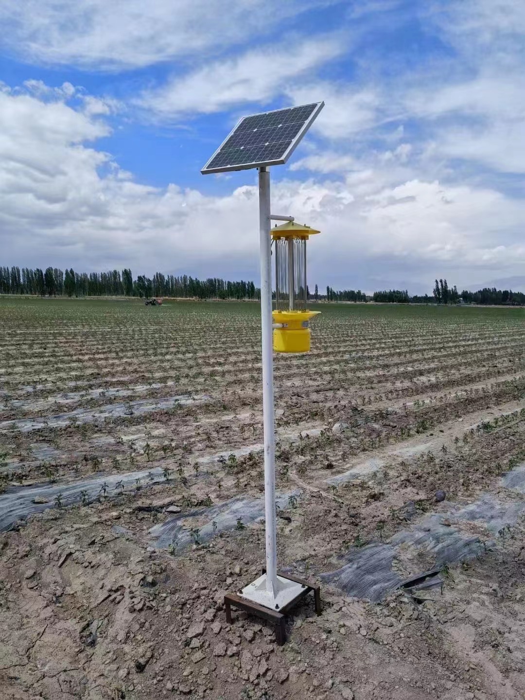 6e0b6ff646b9a558d235a26fd07a95a.jpg 6e0b6ff646b9a558d235a26fd07a95a.jpg