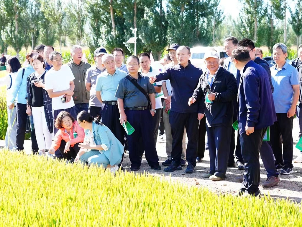 5c9bf68cbb453e1390a43994634d49c.jpg 5c9bf68cbb453e1390a43994634d49c.jpg